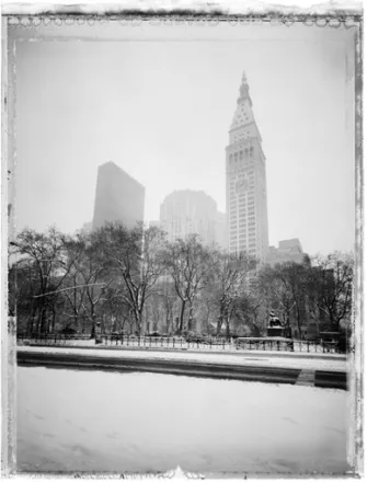 Christopher Thomas - Madison Square Park, II, 2008